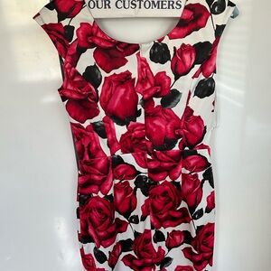 White House Black Market Red and White Sheath Dress